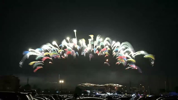 Professional fireworks display effects video